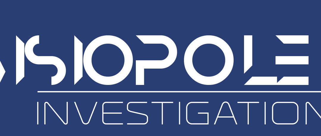 VISIOPOLE INVESTIGATIONS