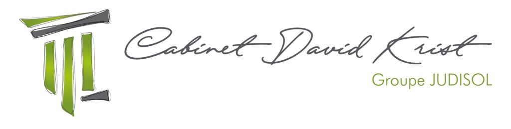 Logo-David-Krist-RGB-2048