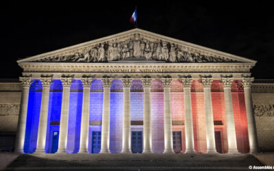 Proposition de loi n°2208 : le SNARP et le SNPEA appellent le Parlement à préserver la cohérence du droit de l’enquête privée
